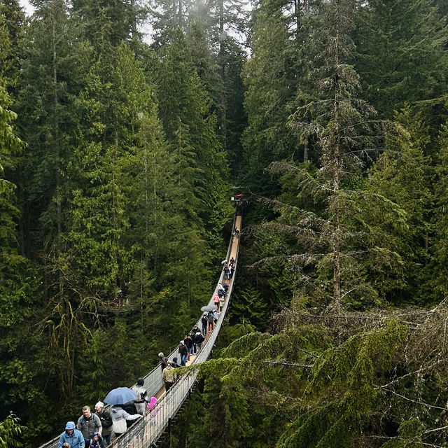 Capilano Suspension Bridge Park