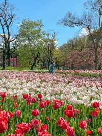【大阪】春満開！！旬のお花が楽しめる公園