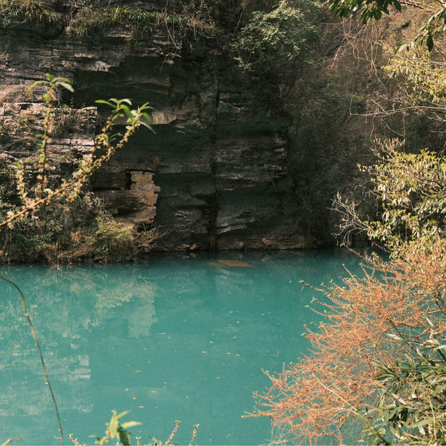 Zhangjiajie Grand Canyon: Must visit! 