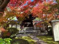 Eikando Templeจุดชมใบไม้เปลี่ยนสีชื่อดังของเกียวโต