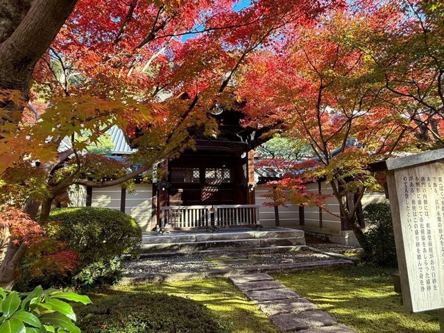 Eikando Templeจุดชมใบไม้เปลี่ยนสีชื่อดังของเกียวโต