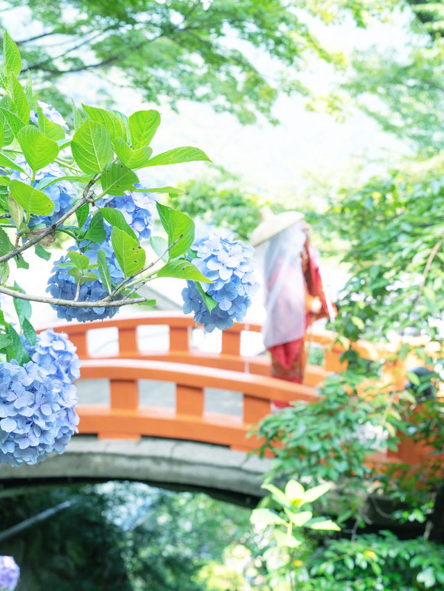 【和歌山】平安時代を感じる！熊野古道
