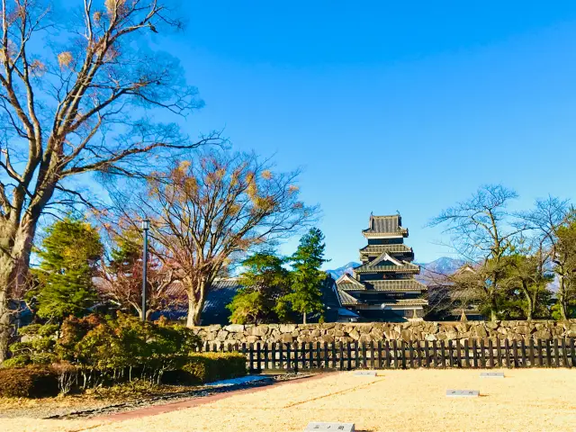 A symbol of Japan's rich heritage🇯🇵