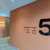 Blu Monkey สาขาใหม่ที่บางแสน กับวิวทะเลสุดปัง