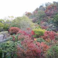 Kobe Nunobiki Herb Gardens&Ropeway