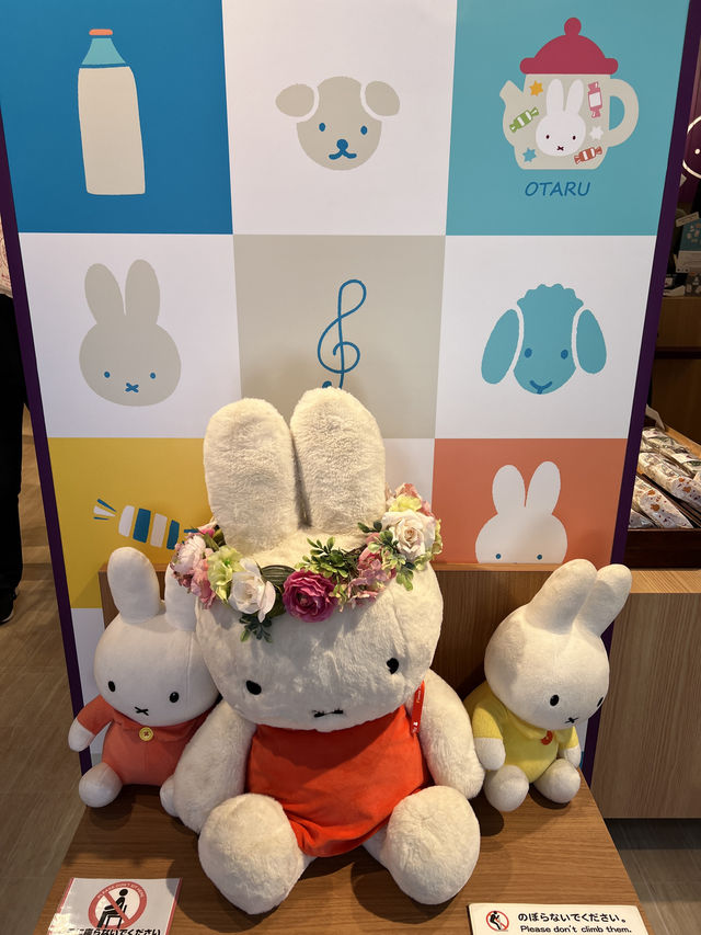 2023最新開幕小樽Miffy Store💕超多可愛手信