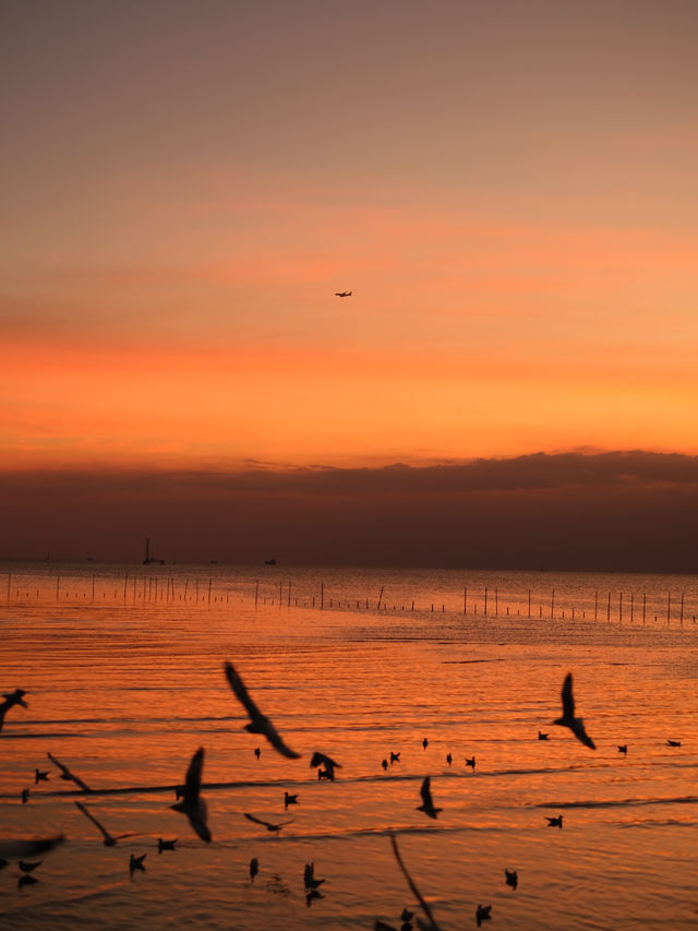 สถานตากอากาศบางปู 🐦🌤️