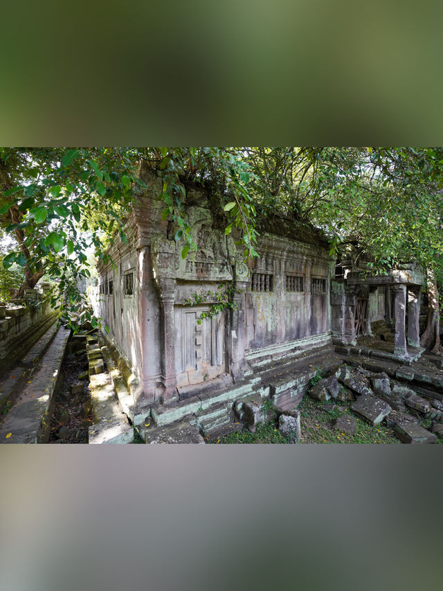【カンボジア・シェムリアップ】ベンメリア遺跡〘観光〙