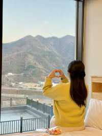 청도에서 즐기는 포레스트 뷰🌳 