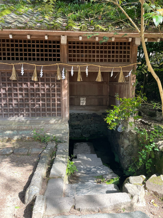 【京都府】世界文化遺産「宇治上神社」を参拝！