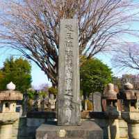 The Yanaka Cemetery 