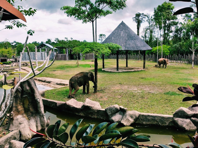 Kemaman Zoo & Recreation Park