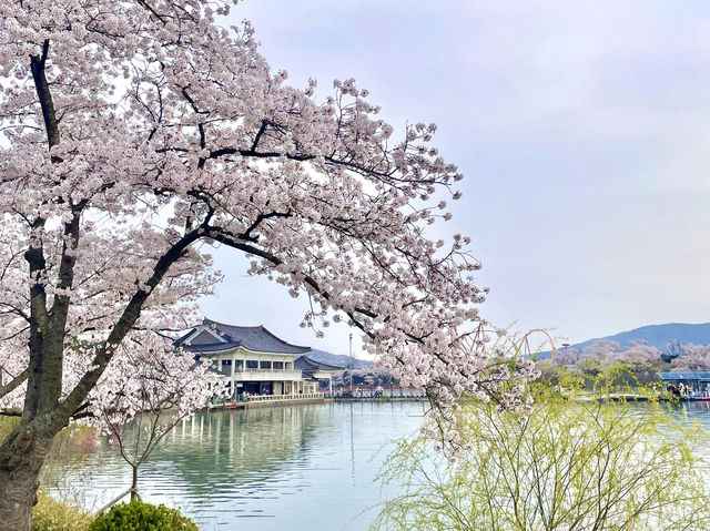 Postcard-worthy Scenery at Bomunho 