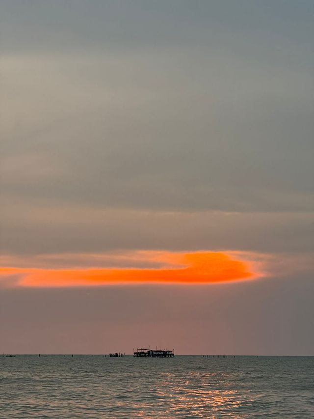 Chasing Sunsets in Sekinchan, Malaysia 🇲🇾