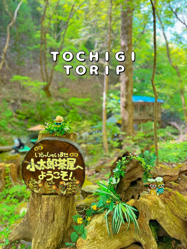 【栃木】ココはどこ？森と水辺の絶景癒しカフェ𖠚ᐝ