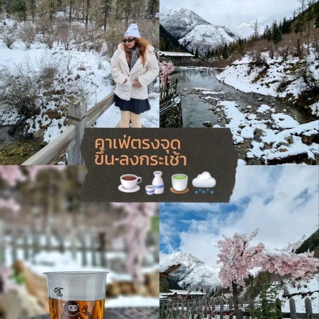 Dagu Glacier🇨🇳 ❄️🌨️หิมะฉ่ำเหมือนยุโรป