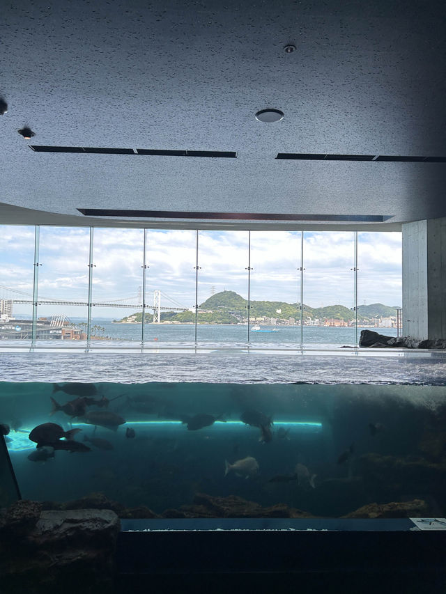 【 免費與海豚互動。水族館•海響館 】