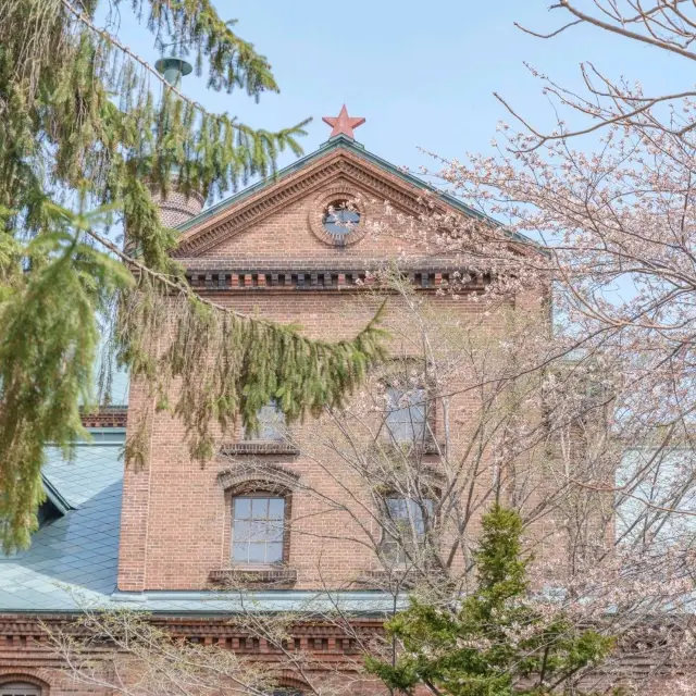 札幌著名的賞櫻勝地