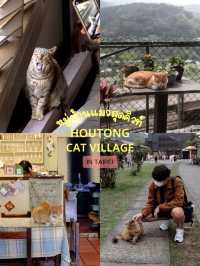 Houtong Cat Village หมู่บ้านแมวไทเปสุดคิ้ว 🏠🐈