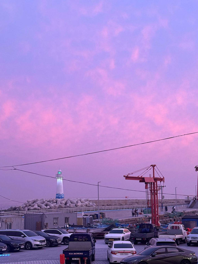 🌸 청사포 바다당 오션뷰 힐링의 순간
