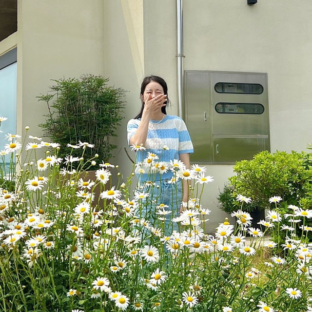 뷰 깡패 제주 카페 루시아