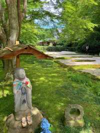【鎌倉】季節ごとの花が楽しめる［日本遺産］明月院
