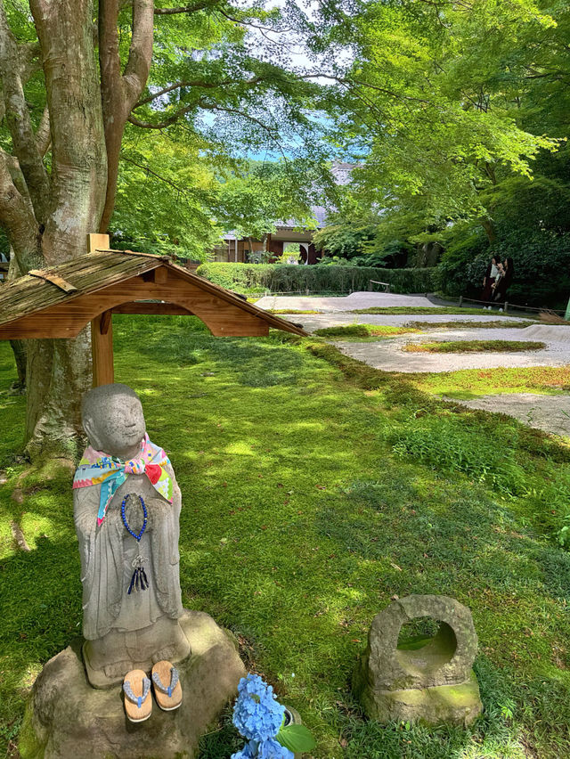 【鎌倉】季節ごとの花が楽しめる［日本遺産］明月院