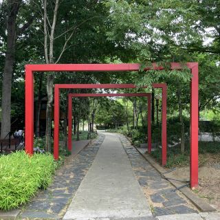 전주 가볼만한 곳! 한국 도로공사 전주 수목원