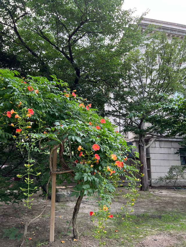 마지막 조선 황실의 궁궐 덕수궁🏰
