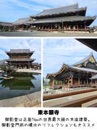 【京都】大宮に泊まる、行きたい場所6選