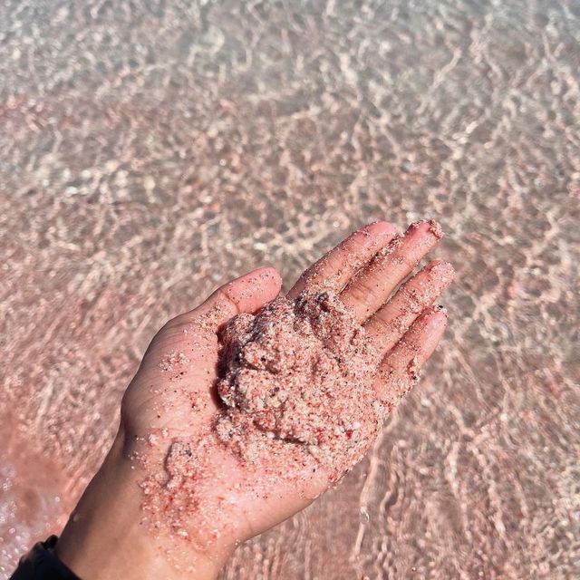 pink beach komodo island