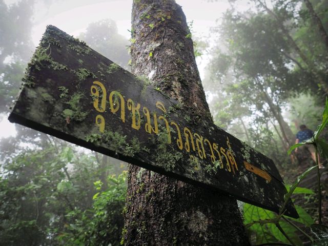 ช่องเย็น อช.แม่วงก์ กำแพงเพชร