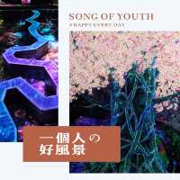 福岡teamlab視覺盛宴
