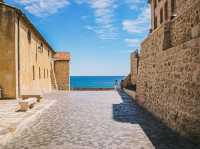 【Nice】🇫🇷ニース Cote d'Azur