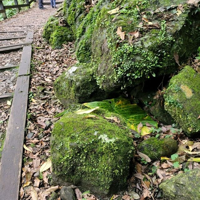 假日悠閒爬山