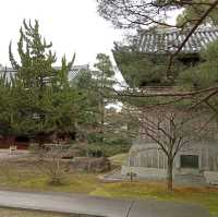 福岡承天寺 您可知道烏冬麪、蕎麥麪，還有包子都發祥於博多？