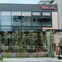 【栃木】全国に２店舗しかないヤクルトカフェの限定アイスが絶品だった🍨