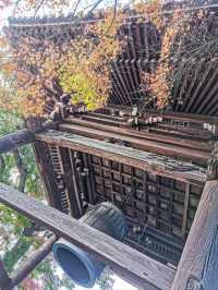 【東漸寺】千葉県・松戸市