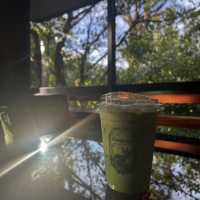 Lalitta cafe ฟีลป่าหิมพานต์