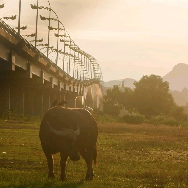 สะพานมิตรภาพไทย-ลาว 3 นครพนม - คำม่วน