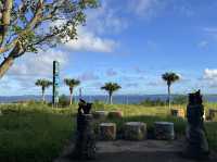 【沖縄旅行】伊芸サービスエリアからの絶景