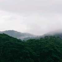 Camp.No.3 แคมป์เมืองเพชร