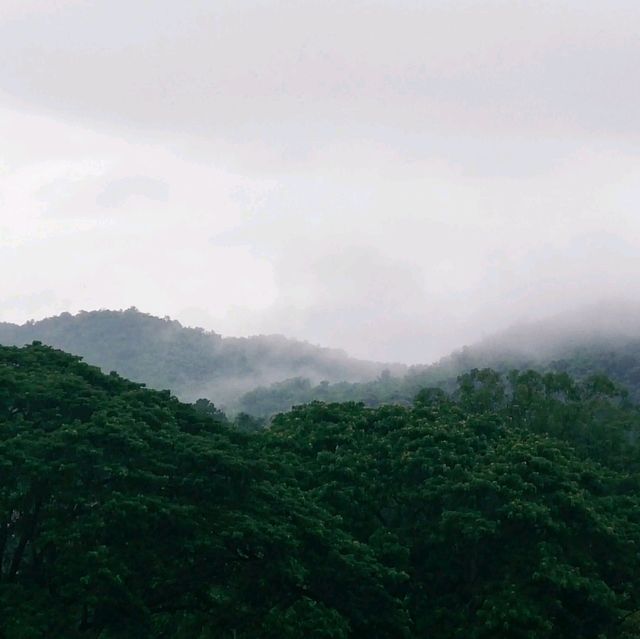 Camp.No.3 แคมป์เมืองเพชร