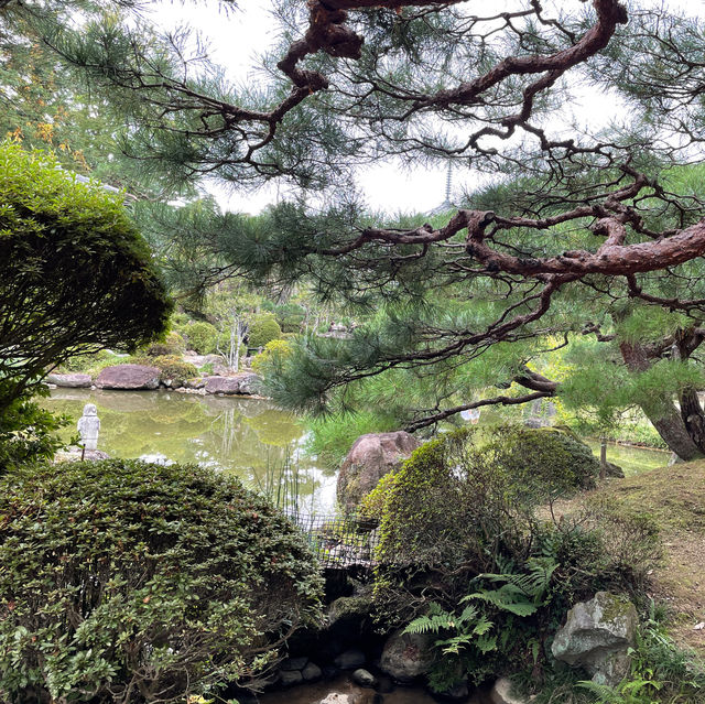 魅力的な庭園のある神社