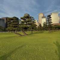 Tokyo: Where Tradition Meets Innovation
