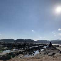 宮崎鬼之洗衫板-海浪不斷沖刷過千年，帶來的自然奇觀