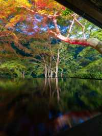 京都の舞妓、芸妓憧れの地『嵐山祐斎亭』日本の美と自然唯一無二の世界観アートを感じられます💫