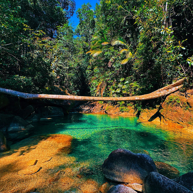 🇲🇾Lata Payung: Where Nature’s Magic Unfolds