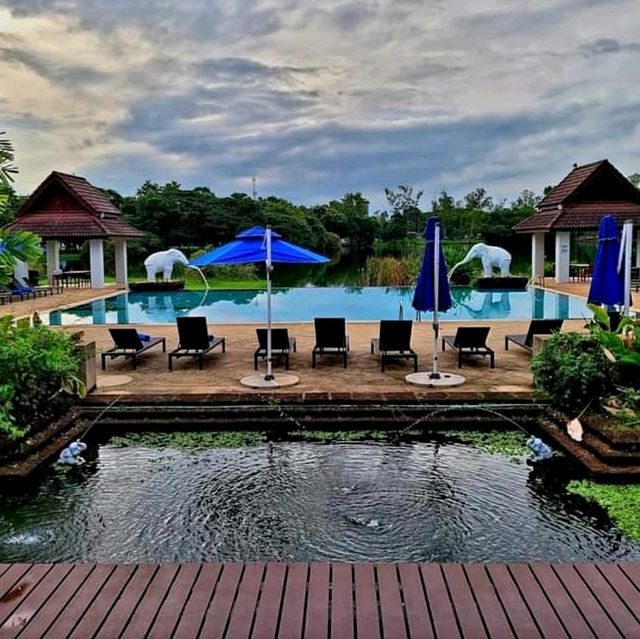 Unique And Unwind : World Hotel Distinctive 