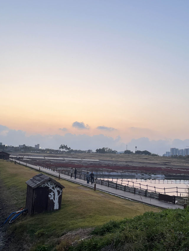  📍씨사이드파크 Seaside Park 